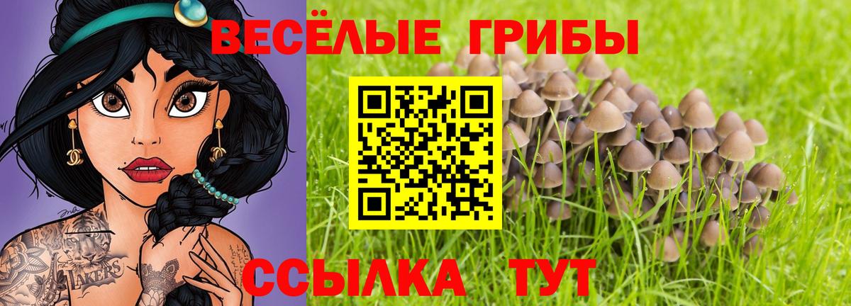 Псилоцибиновые грибы ЛСД Киров