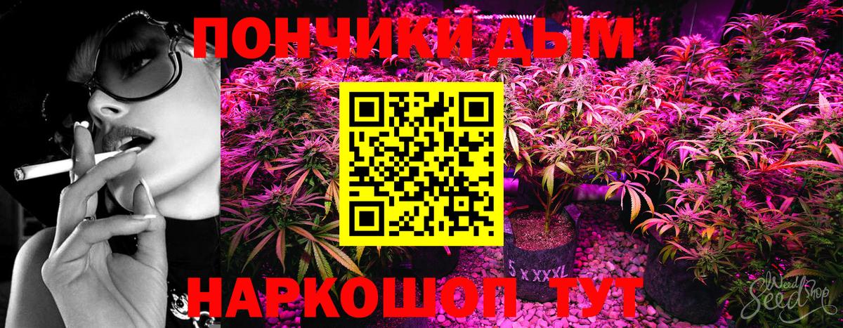 Шишки марихуана семена  Шишки марихуана AK-47  Вход с VPN  МАРИХУАНА OG Kush  Киров 